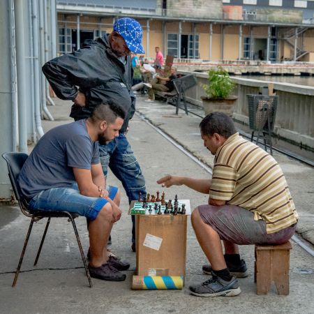 Cubans playing chess.