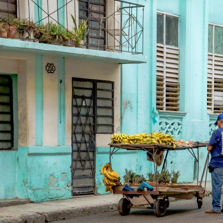 Cuban banana and pineapple vendor in Havana.