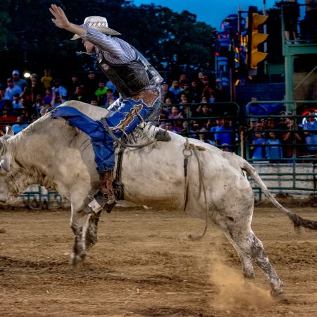 Bull rider at rodeo in Maryland.