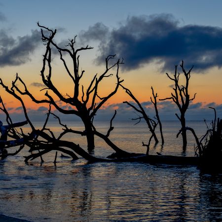 Sunrise over Boneyard Beach, Botany Bay Plantation, Edisto Island, Charleston South Carolina.