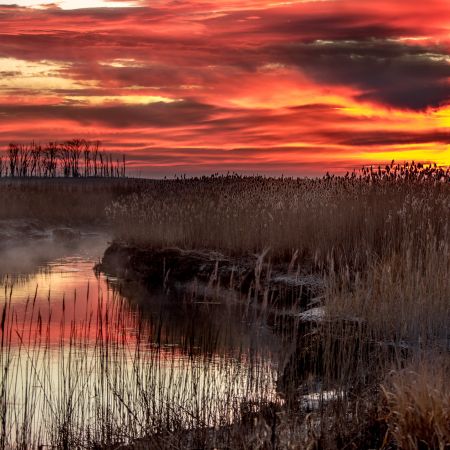Winter sunrise landscape with water reflections and cattails at Bombay Hook National Wildlife Refuge, Smyrna, Delaware.