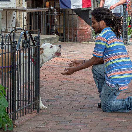 Man on knee greeting a pit bull at Capitol Hill.