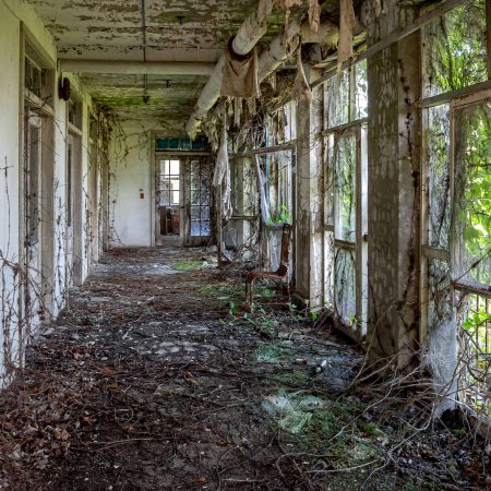 Abandoned Hospital Veranda with overgrowth of vines and moss along the long bank of doorways.