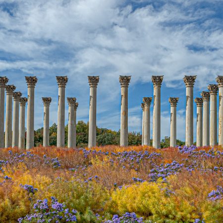 Capitol Columns at National Arboretum Washington DC
