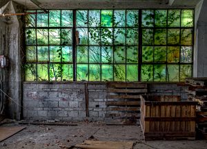 Abandoned Yorklyn, Delaware vulcanized fiber factory warehouse with vines on windows.