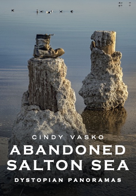 Abandoned Salton Sea - Dystopian Panoramas photography and history book. 